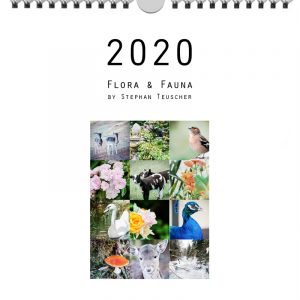 Foto: »Kalender 2020 - Deckblatt«