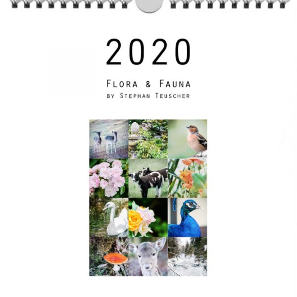 Foto: »Kalender 2020 - Deckblatt«