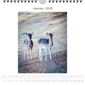 Foto: »Kalender 2020 - Monat Januar«