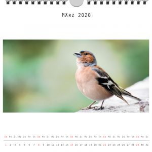 Foto: »Kalender 2020 - Monat März«