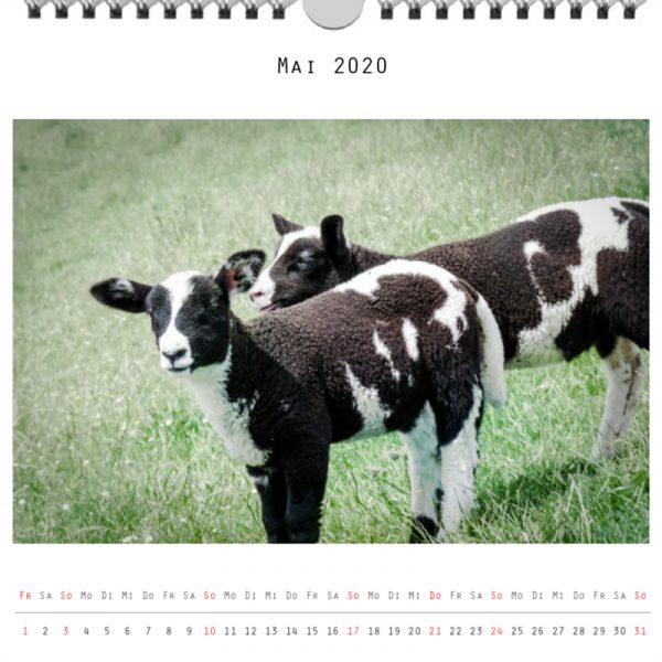 Foto: »Kalender 2020 - Monat Mai«