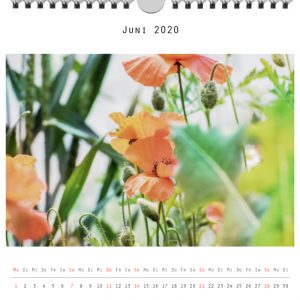 Foto: »Kalender 2020 - Monat Juni«