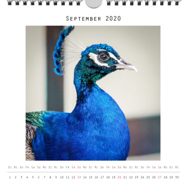 Foto: »Kalender 2020 - Monat September«
