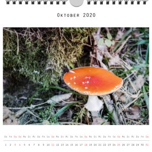 Foto: »Kalender 2020 - Monat Oktober«