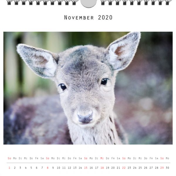 Foto: »Kalender 2020 - Monat November«