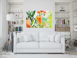 Foto: »Mohnblüten [Poppy Blossoms] - No.1« (butlaix look), 120 x 80 cm Fotodruck an Wand