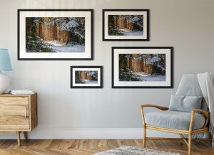 Foto: »Winterstimmung [winter mood] - No.6« (natural colors), 30 x 20, 45 x 30, 60 x 40, 75 x 50 cm Fotodruck an Wand