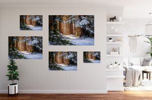 Foto: »Winterstimmung [winter mood] - No.6« (natural colors), 45 x 30, 60 x 40, 75 x 50, 90 x 60, 120 x 80 cm Fotodruck an Wand
