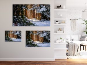 Foto: »Winterstimmung [winter mood] - No.6« (natural colors), 60 x 40, 90 x 60, 120 x 80 cm Fotodruck an Wand
