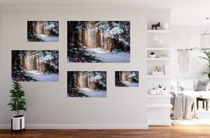 Foto: »Winterstimmung [winter mood] - No.6« (butlaix look), 45 x 30, 60 x 40, 75 x 50, 90 x 60, 120 x 80 cm Fotodruck an Wand