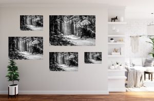 Foto: »Winterstimmung [winter mood] - No.6« (black and white), 45 x 30, 60 x 40, 75 x 50, 90 x 60, 120 x 80 cm Fotodruck an Wand
