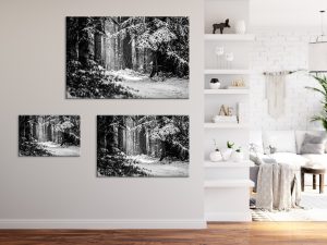 Foto: »Winterstimmung [winter mood] - No.6« (black and white), 60 x 40, 90 x 60, 120 x 80 cm Fotodruck an Wand