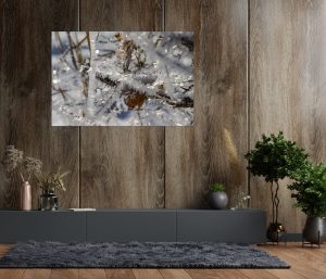 Foto: »Eisstrauch [ice shrub] - No.7« (natural colors), 120 x 80 cm Fotodruck an Wand