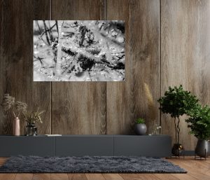 Foto: »Eisstrauch [ice shrub] - No.7« (black and white), 120 x 80 cm Fotodruck an Wand