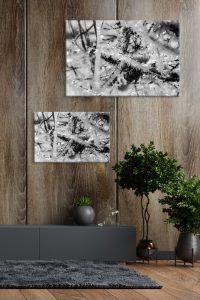 Foto: »Eisstrauch [ice shrub] - No.7« (black and white), 60 x 40, 90 x 60 cm Fotodruck an Wand