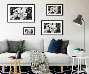 Foto: »Floribundarose - No.8« (black and white), 30 x 20, 45 x 30, 60 x 40, 75 x 50 cm Fotodruck an Wand