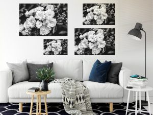Foto: »Floribundarose - No.8« (black and white), 45 x 30, 60 x 40, 75 x 50, 90 x 60 cm Fotodruck an Wand