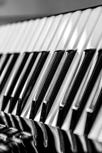 Foto: »Akkordeon [accordion] - No.6«