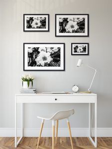 Foto: »Asiatische Pfingstrose [Asian peony] 'Krinkled White' - No.1« (black and white), 30 x 20, 45 x 30, 60 x 40, 75 x 50 cm Fotodruck an Wand