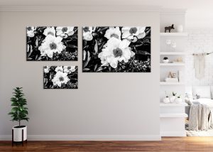Foto: »Asiatische Pfingstrose [Asian peony] 'Krinkled White' - No.1« (black and white), 60 x 40, 90 x 60, 120 x 80 cm Fotodruck an Wand
