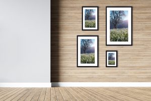 Foto: »Winterstimmung [winter mood] - No.11« (black and white), 20 x 30, 30 x 45, 40 x 60, 50 x 75 cm Fotodruck an Wand