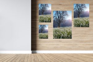 Foto: »Winterstimmung [winter mood] - No.11« (natural colors), 30 x 45, 40 x 60, 50 x 75, 60 x 90 cm Fotodruck an Wand
