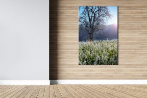 Foto: »Winterstimmung [winter mood] - No.11« (natural colors), 80 x 120 cm Fotodruck an Wand