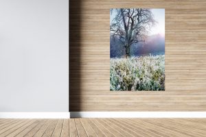 Foto: »Winterstimmung [winter mood] - No.11« (butlaix look), 80 x 120 cm Fotodruck an Wand