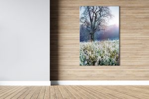 Foto: »Winterstimmung [winter mood] - No.11« (butlaix look), 80 x 120 cm Fotodruck an Wand