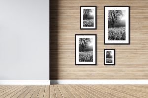 Foto: »Winterstimmung [winter mood] - No.11« (black and white), 20 x 30, 30 x 45, 40 x 60, 50 x 75 cm Fotodruck an Wand
