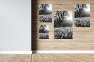 Foto: »Winterstimmung [winter mood] - No.11« (black and white), 30 x 45, 40 x 60, 50 x 75, 60 x 90 cm Fotodruck an Wand