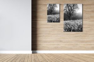 Foto: »Winterstimmung [winter mood] - No.11« (black and white), 40 x 60, 60 x 90 cm Fotodruck an Wand