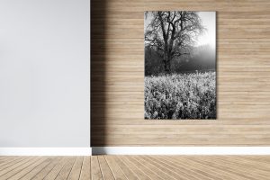 Foto: »Winterstimmung [winter mood] - No.11« (black and white), 80 x 120 cm Fotodruck an Wand