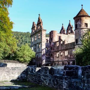 Schlossruine mit Renaissancegiebeln und kegelbedachtem Rundturm, umgeben von Mauerresten und Laubbäumen, vor bewaldetem Hügel unter blauem Himmel.